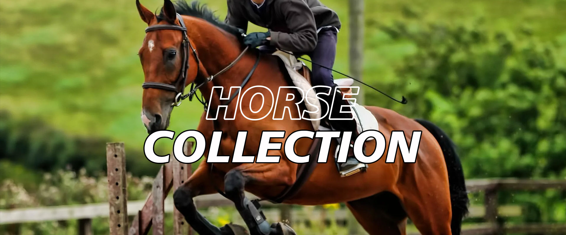 Horse-Collection-1.jpg